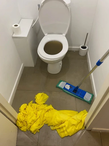 Toilettes renovation protection jaune